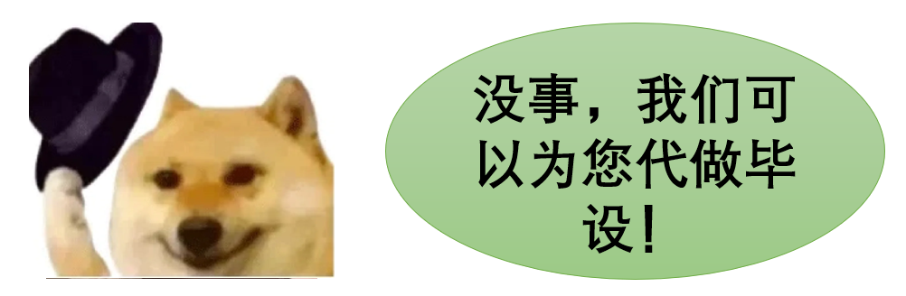 毕设不会找我们！